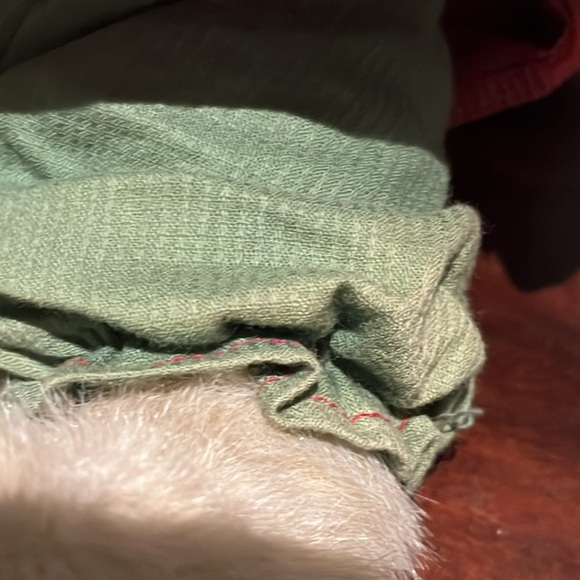 Boyds Bears Momma McVeggie & The Sweetpeas Plush Bear with Babies in Pea Pod - Picture 16 of 16